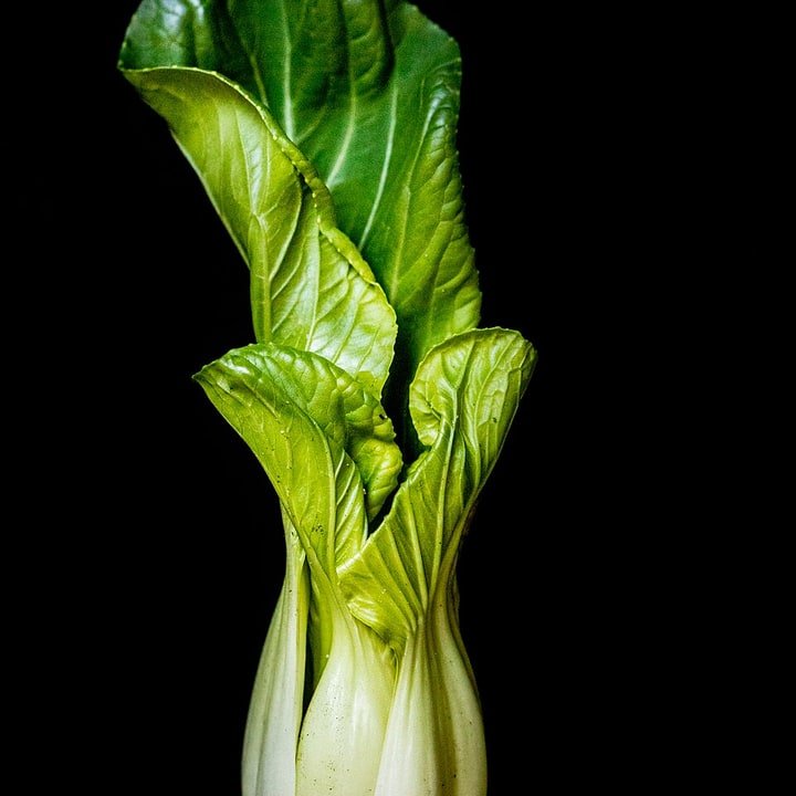 Pak Choi Tender