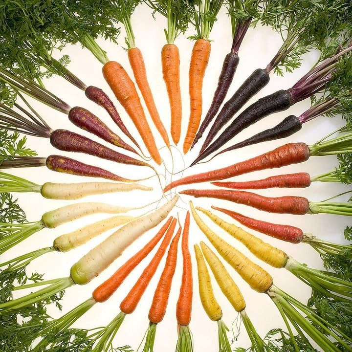 Rainbow Carrot Pack