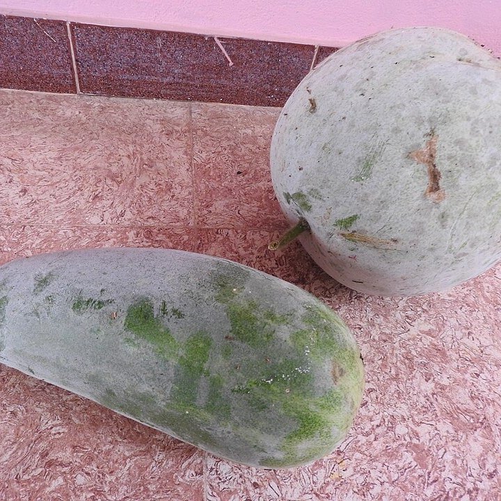 Winter Melon Ash